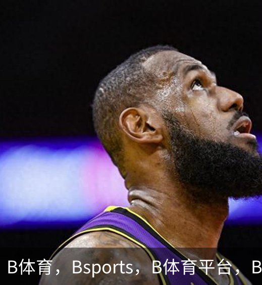 了解B体育，Bsports，B体育平台，B体育下载